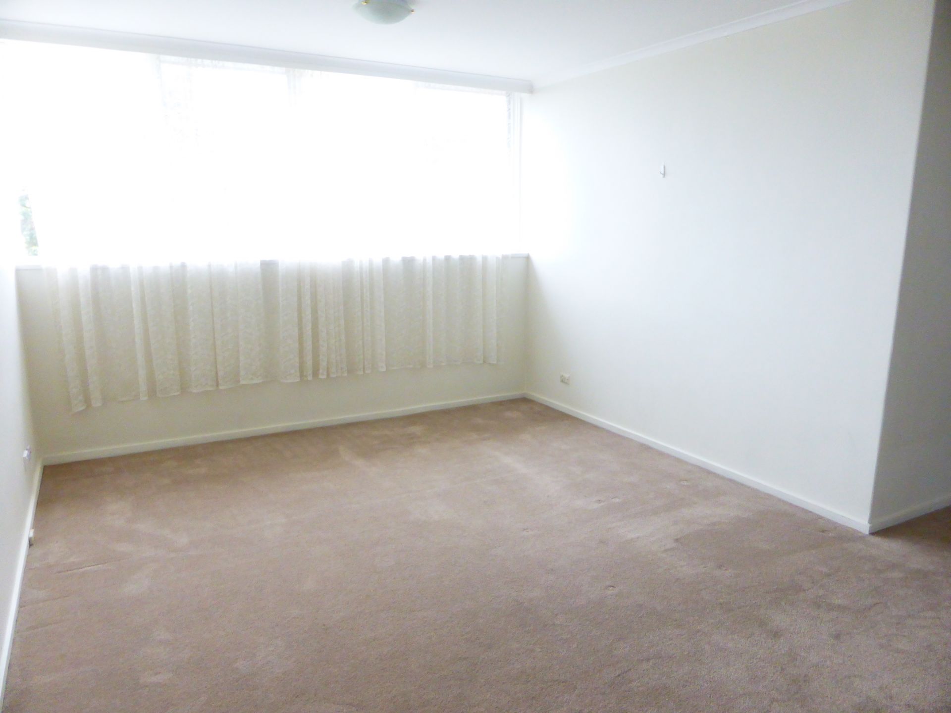In a Quiet Pocket and minutes walk from Miller Street!