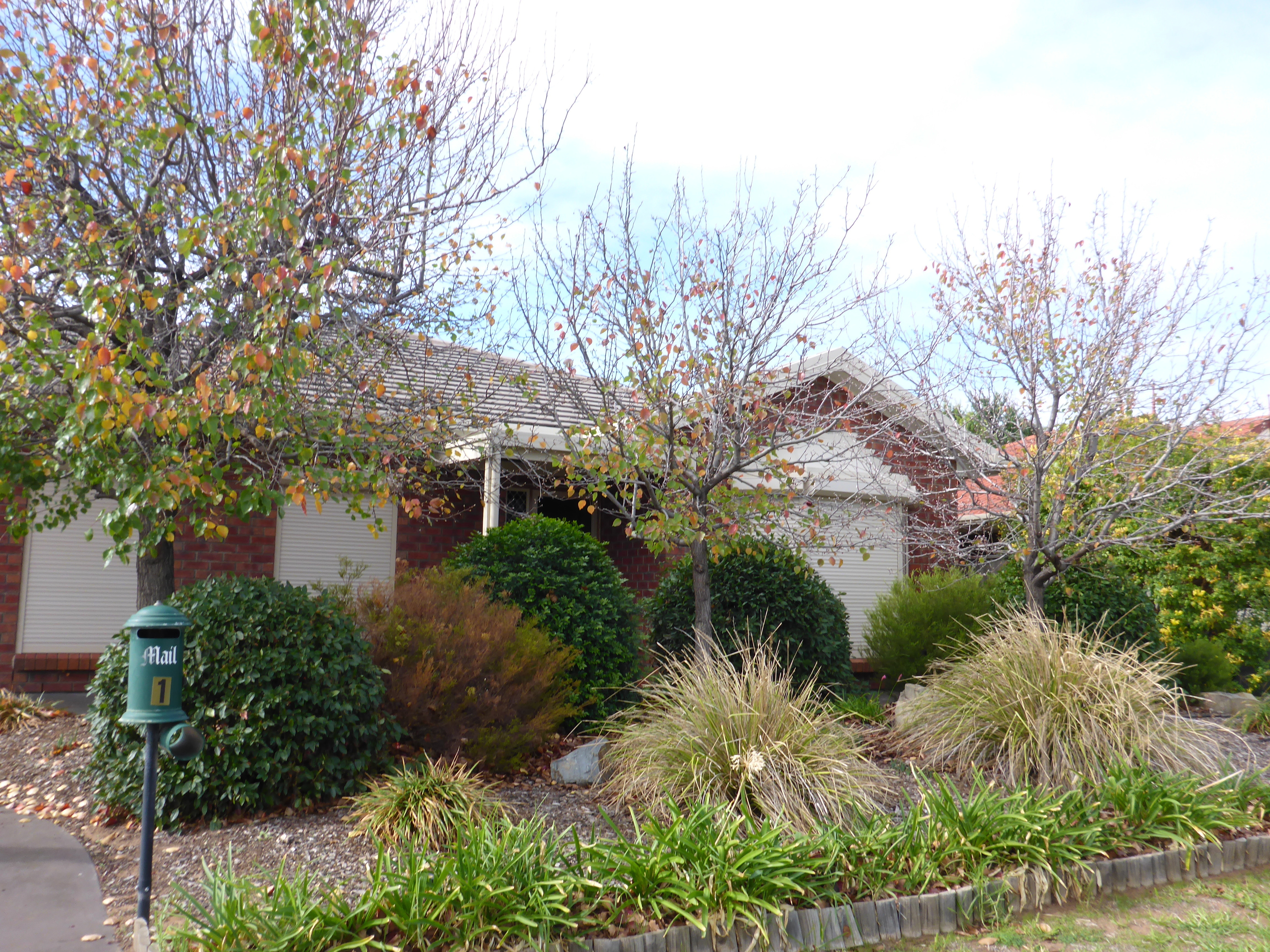 1 Anne Street Royal Park 5014