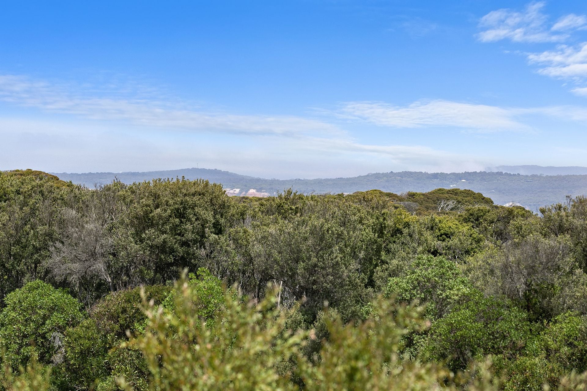 47 ODonohue Road, Anglesea - Thumbnail 4
