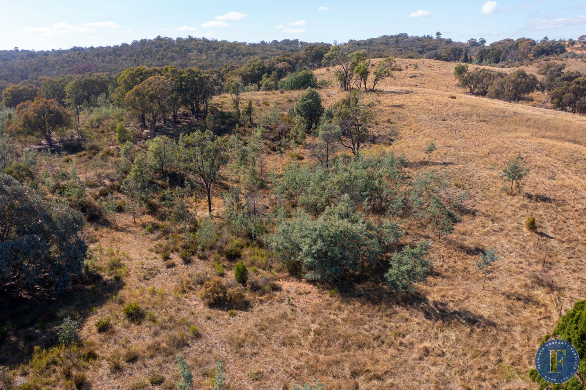 12 Taylors Flat Road, Frogmore NSW, Frogmore - Thumbnail 5