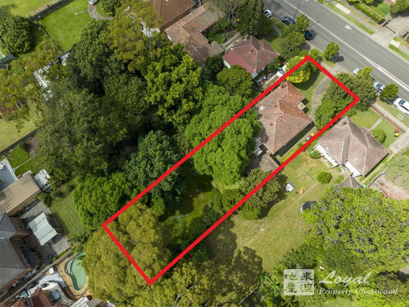 247 Buffalo Road Ryde NSW, Ryde - Thumbnail 5