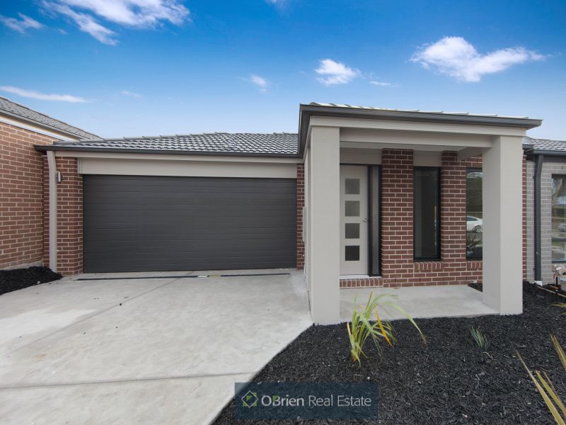 25 Madisson Crescent, Carrum Downs VIC