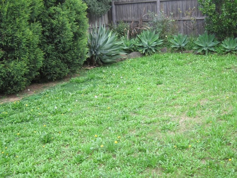 PERFECT FAMILY HOME CLOSE TO EVERYDAY NECESSITIES    *SEMI RENOVATED  AND FRESHLY PAINTED*