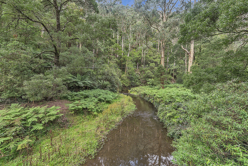 860 Barham River Road, Apollo Bay, VIC, Apollo Bay - Thumbnail 8