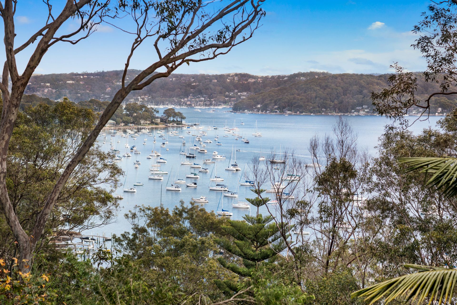 64 Trappers Way Avalon Beach NSW, Avalon Beach - Thumbnail 4