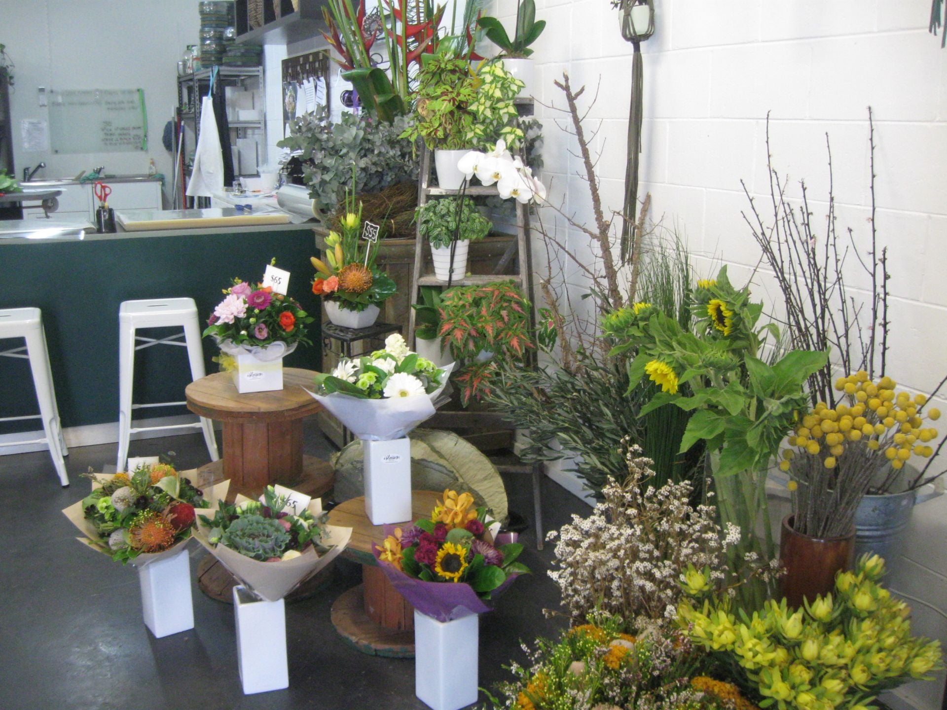 Maroochydore, Maroochydore - Thumbnail 3