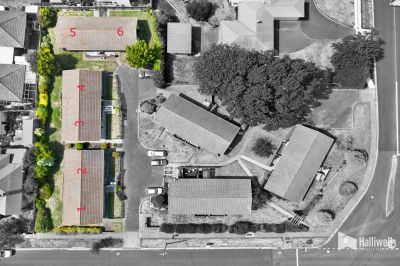 1-6/92 North Fenton Street, Devonport, Devonport - Thumbnail 3