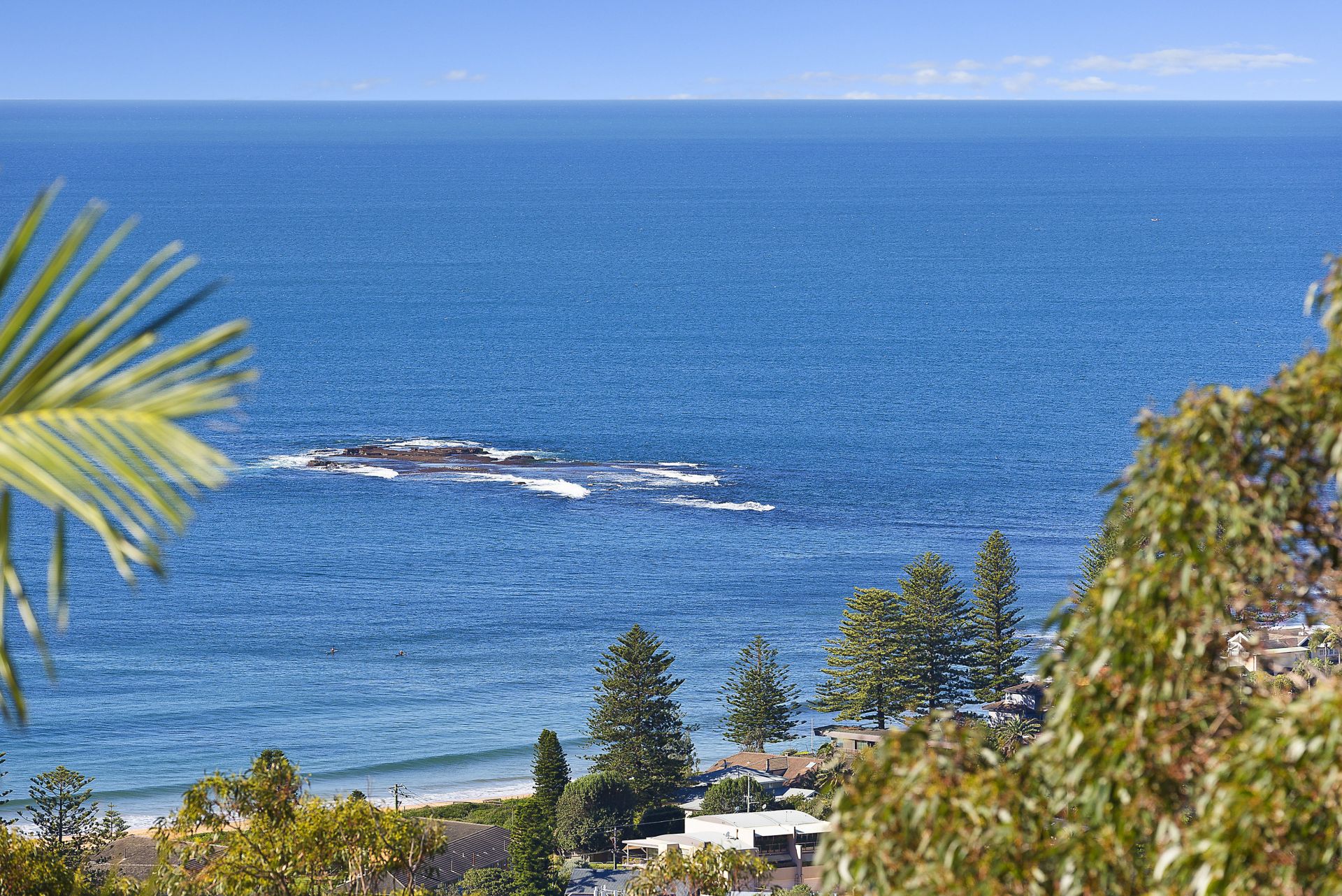 72 Grandview Drive Newport NSW, Newport - Thumbnail 6