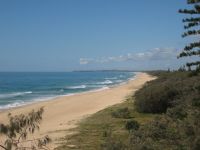 13 Bermagui Crescent BUDDINA QLD, Buddina - Thumbnail 8