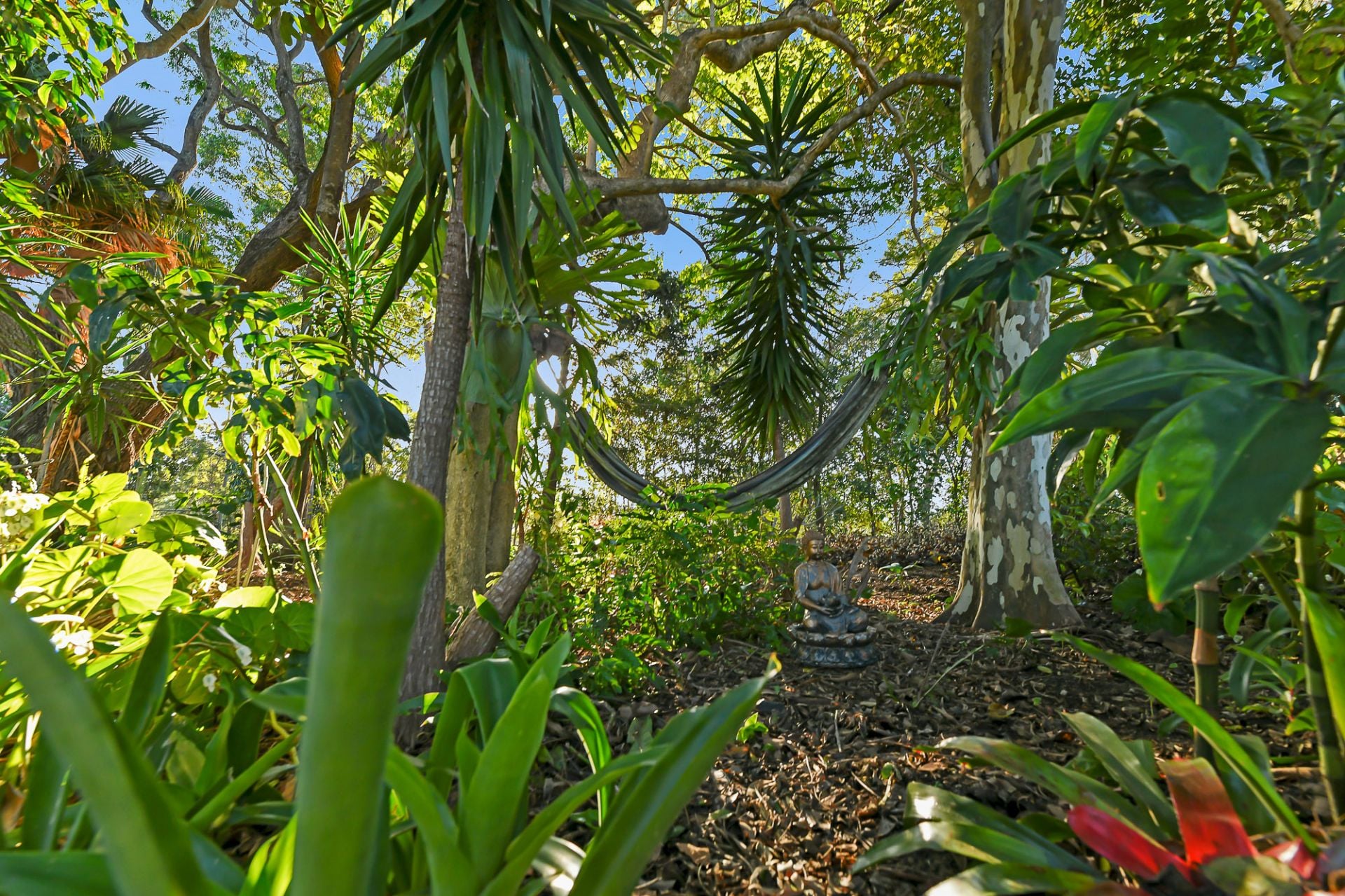 10 Buena Vista Road Woombye QLD, Woombye - Thumbnail 6