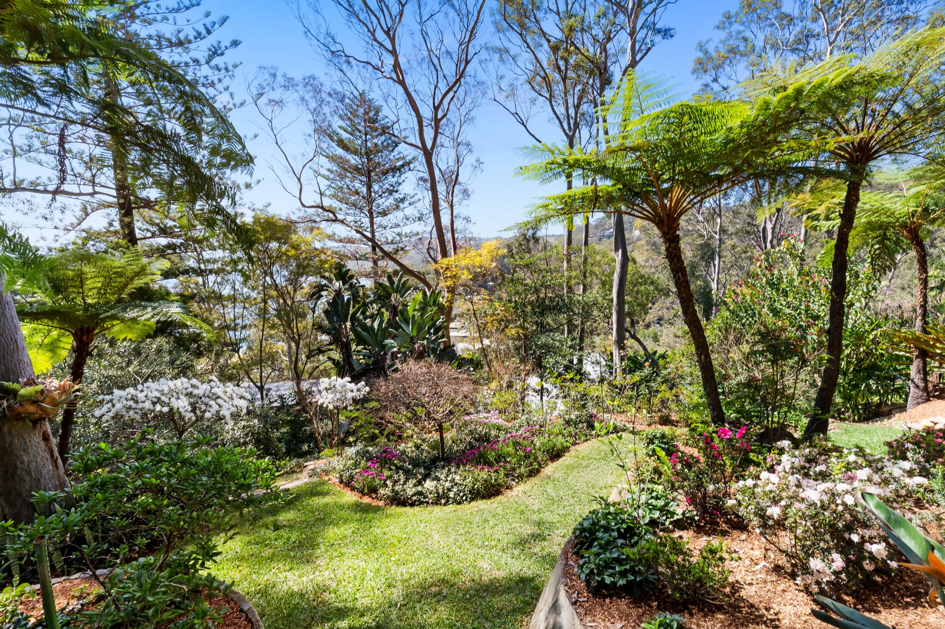 54 Wandeen Road Avalon Beach NSW, Avalon Beach - Thumbnail 4