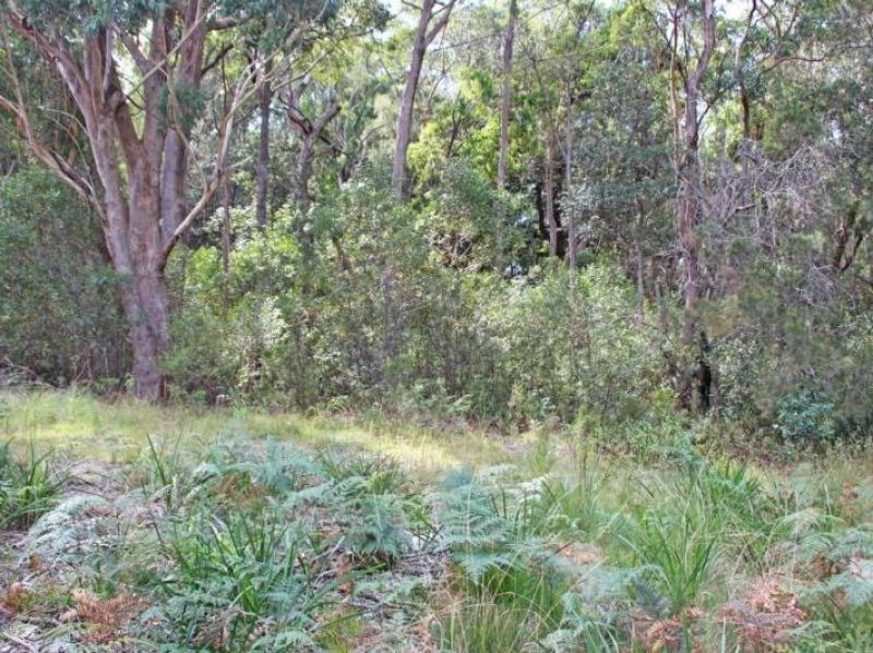 131 Burralow Road, Kurrajong Heights - Thumbnail 4