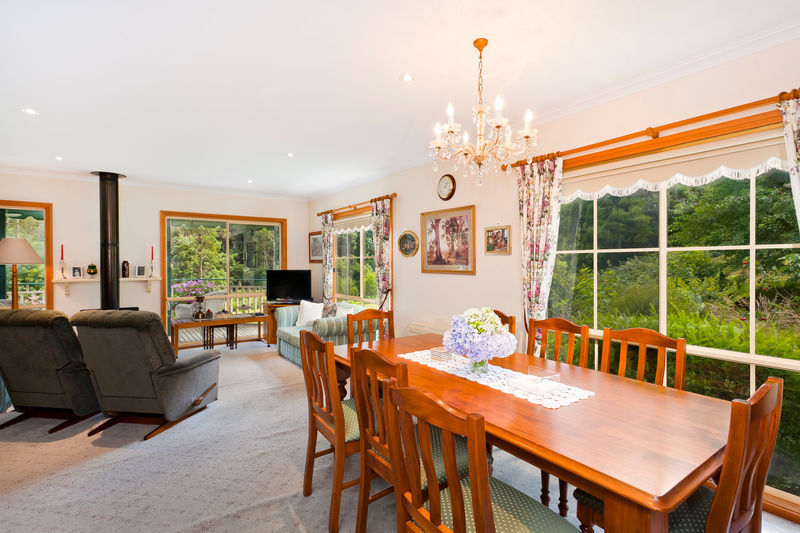 1135 Barham River Road, Apollo Bay, VIC, Apollo Bay - Thumbnail 5
