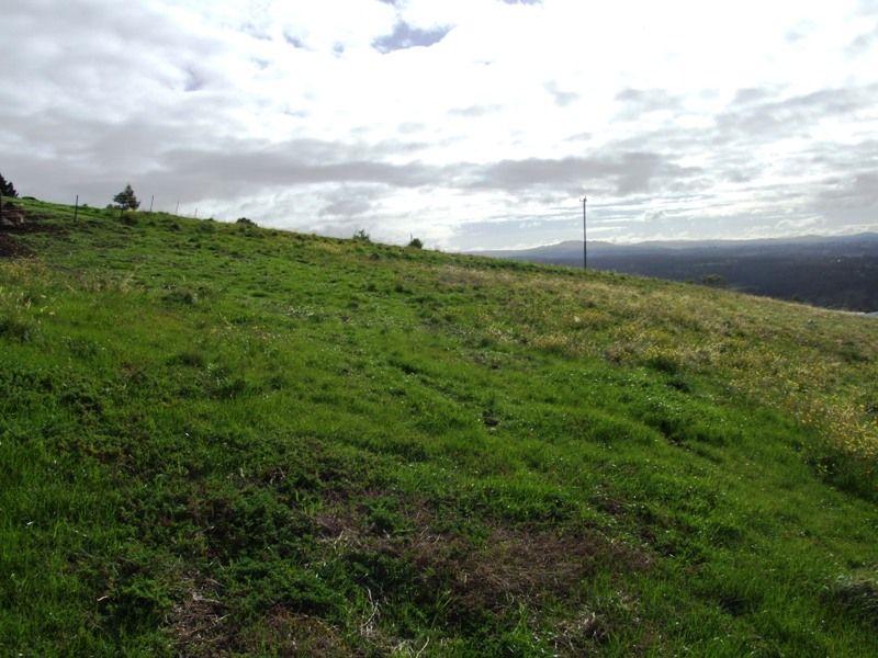 10 Egan Court, Darley - Thumbnail 5