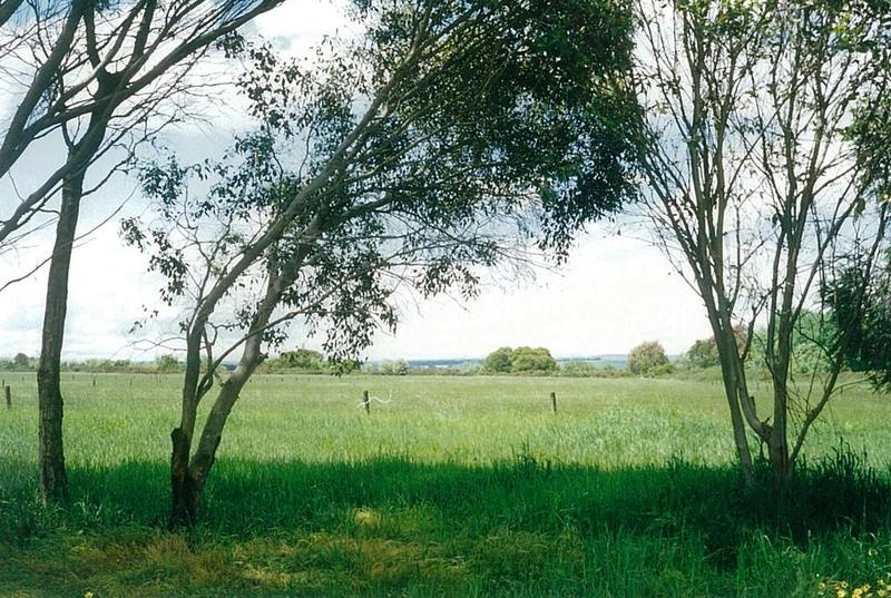 21 Beal Street, Birregurra, VIC, Birregurra - Thumbnail 7