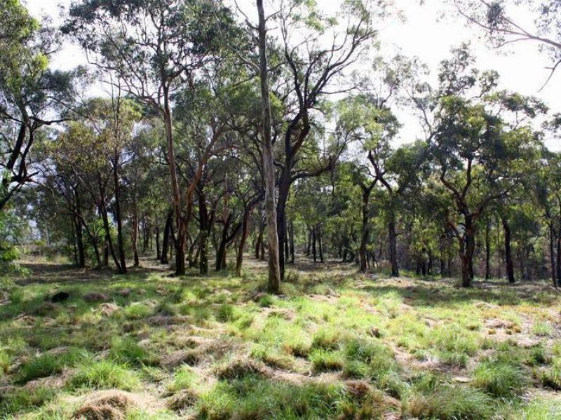 12/ Cadwells Road, Kenthurst - Thumbnail 3