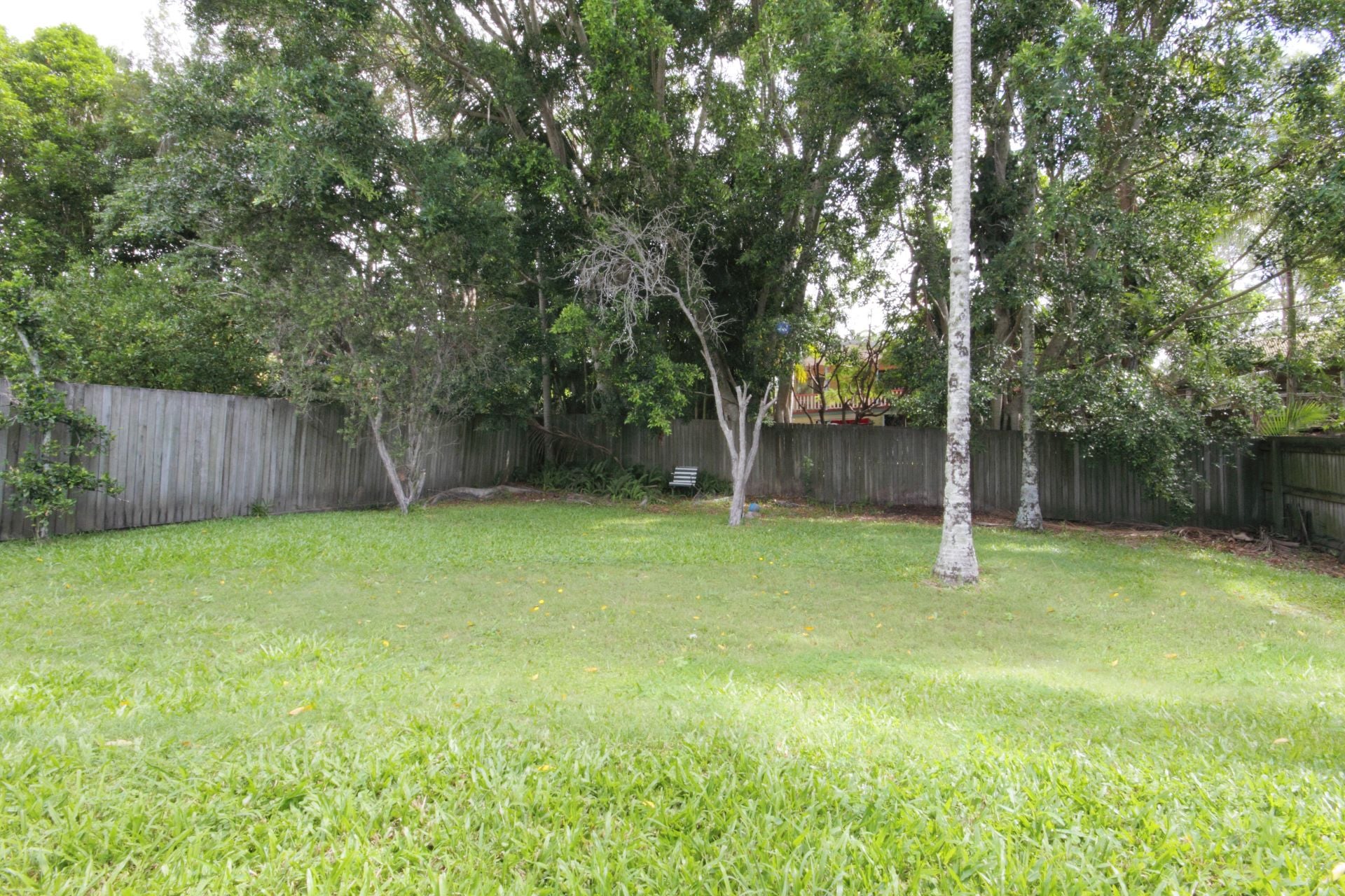 17A Yoomba Crescent Alexandra Headland QLD, Alexandra Headland - Thumbnail 5