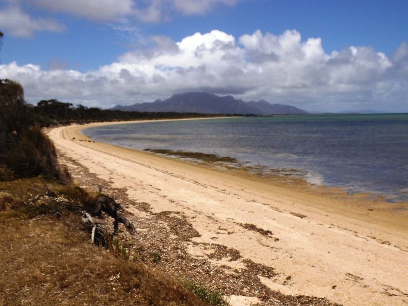 Lot 1, 36 Bluff Road, Whitemark Flinders Island , TAS 7255 Land 2588869