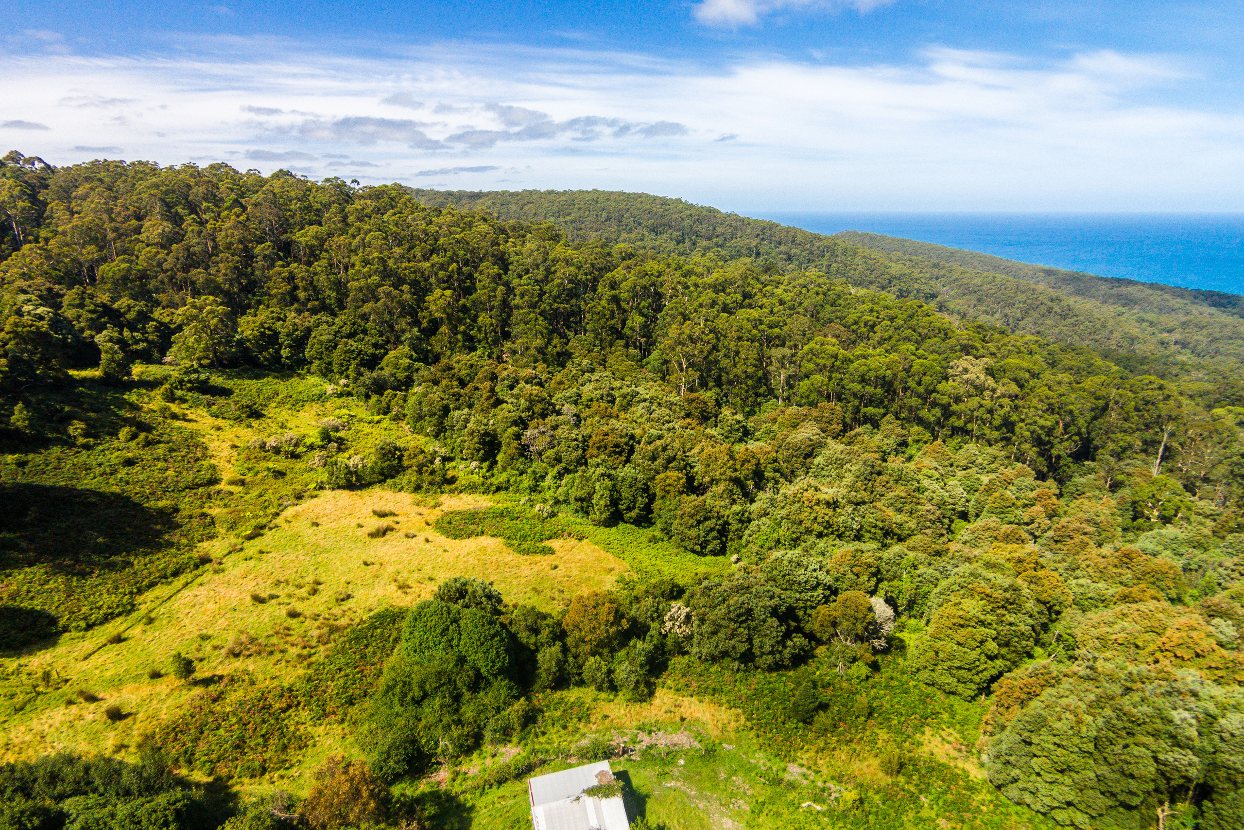 290 Kennett Road, Kennett River, VIC, Kennett River - Thumbnail 3