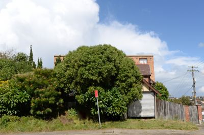 139 Arden Street Coogee NSW, Coogee - Thumbnail 8