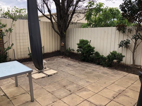 36A  White Avenue Lockleys 5032
