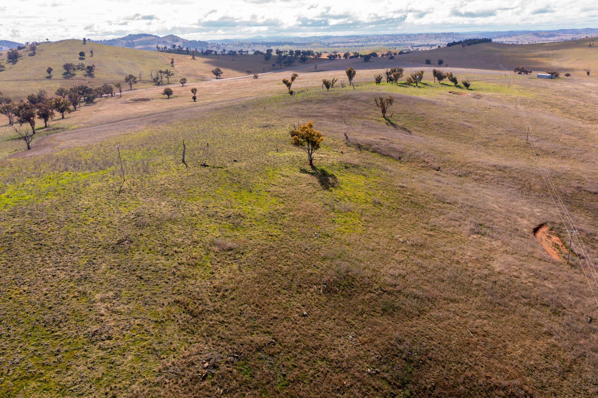 Cnr Brial & Rugby Road, Boorowa NSW, Boorowa - Thumbnail 8