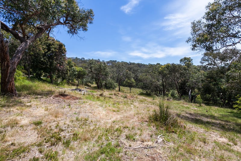 12 Bachli Court, Anglesea, VIC, Anglesea - Thumbnail 3