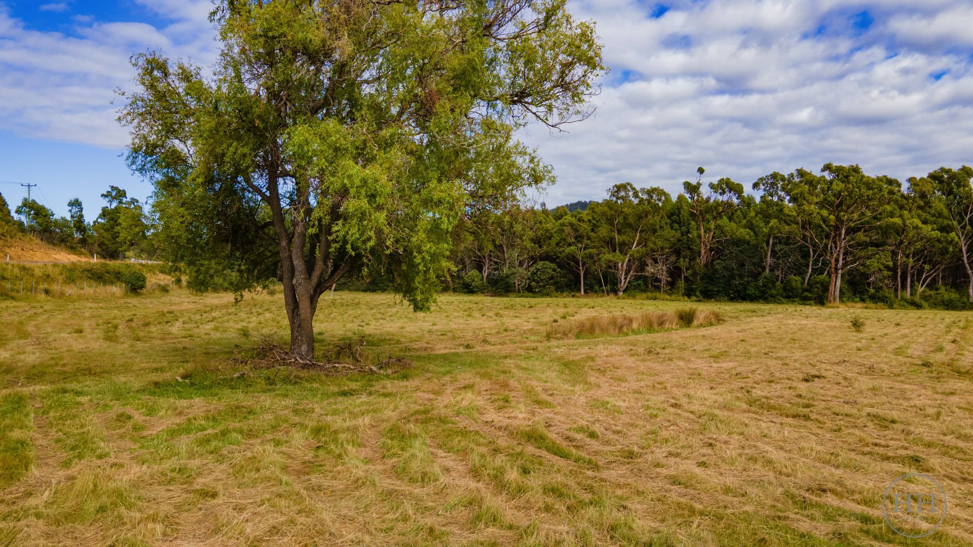 39080 Tasman Highway Nunamara, Nunamara - Thumbnail 5
