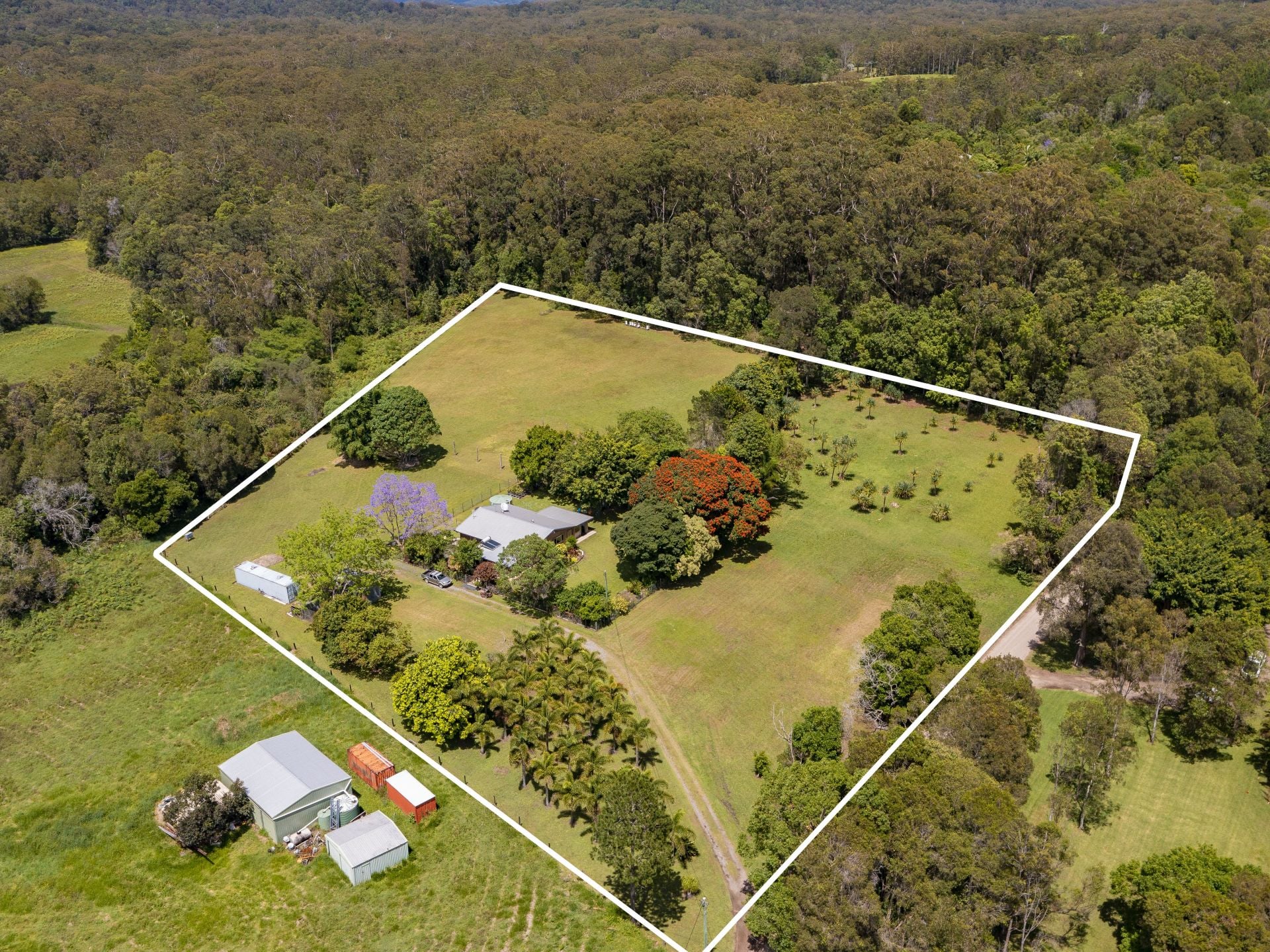 363-387 Sippy Creek Road Tanawha QLD, Tanawha - Thumbnail 3