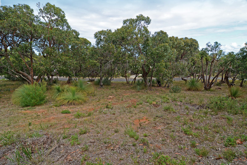 39 and 41  Second Avenue , Anglesea, VIC, Anglesea - Thumbnail 8