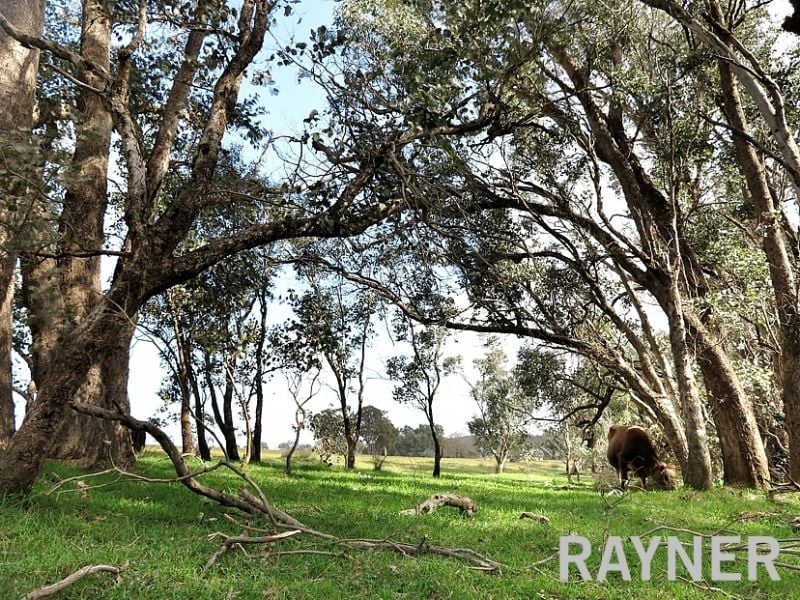 5897 Harvey-Quindanning Road Lower Hotham WA, Lower Hotham - Thumbnail 3