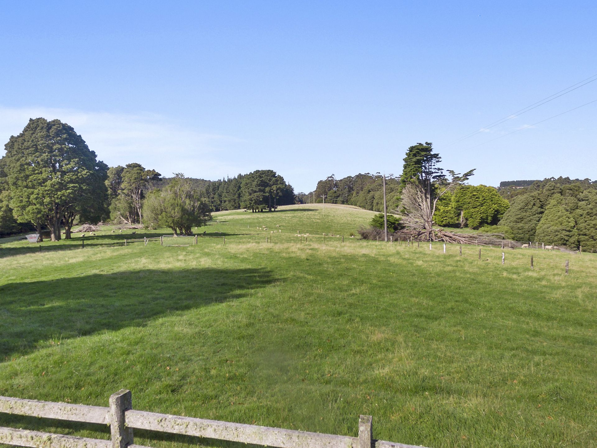 1215 Skenes Creek Road, Apollo Bay - Thumbnail 3