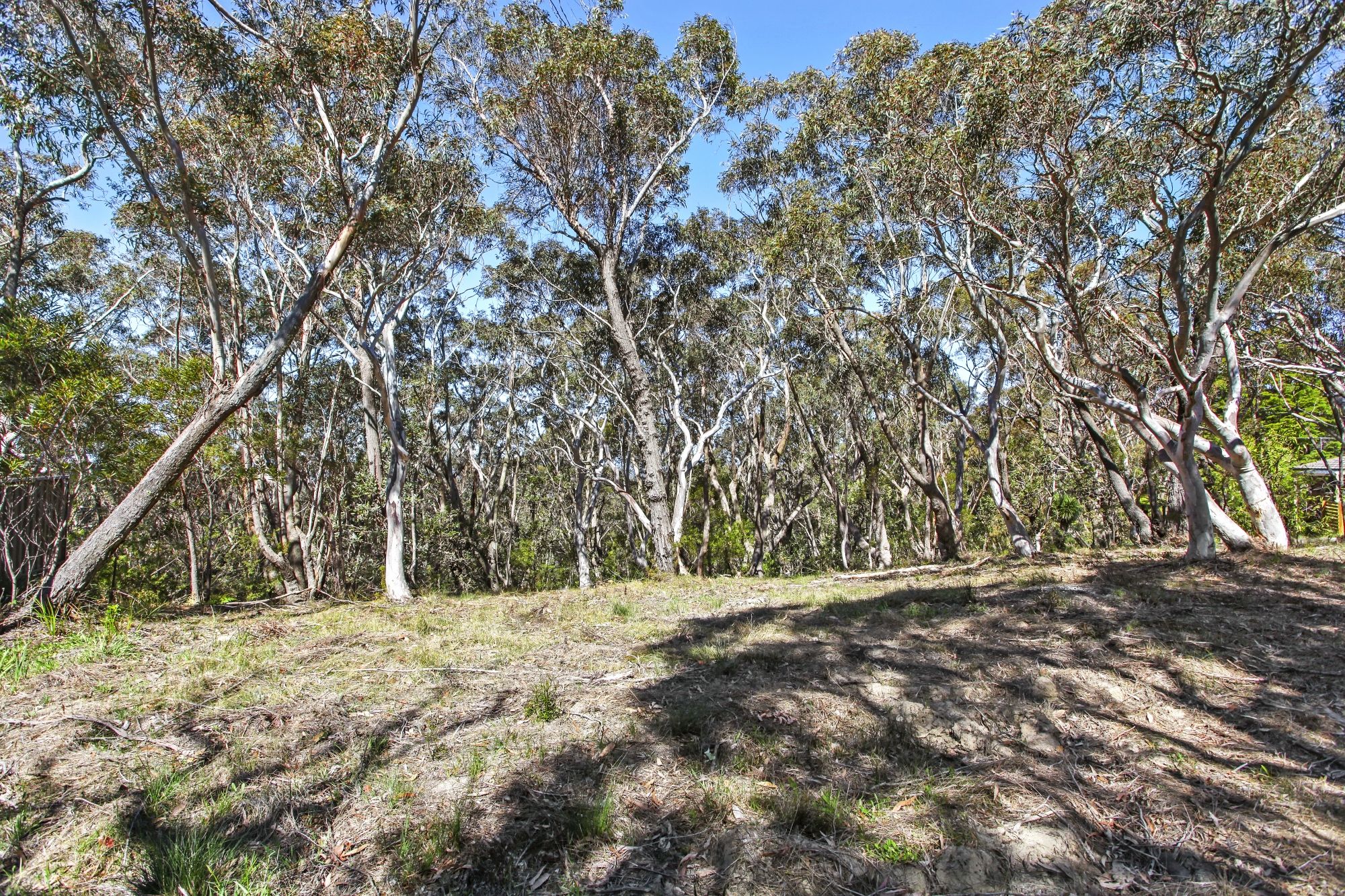 5-7 Daintrey Street Wentworth Falls 2782