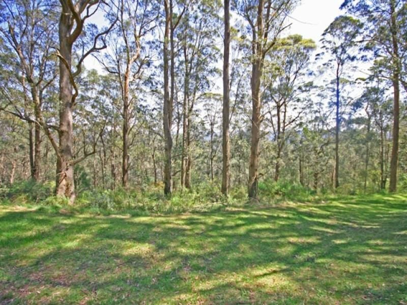 MOUNT TOMAH, NSW, Mount Tomah - Thumbnail 4