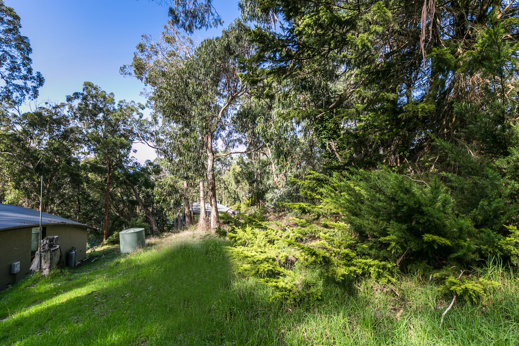 2 Ferny Grove, Kennett River, VIC, Kennett River - Thumbnail 3