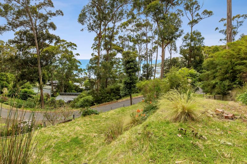 3 Wallace Street, Wye River, VIC, Wye River - Thumbnail 2