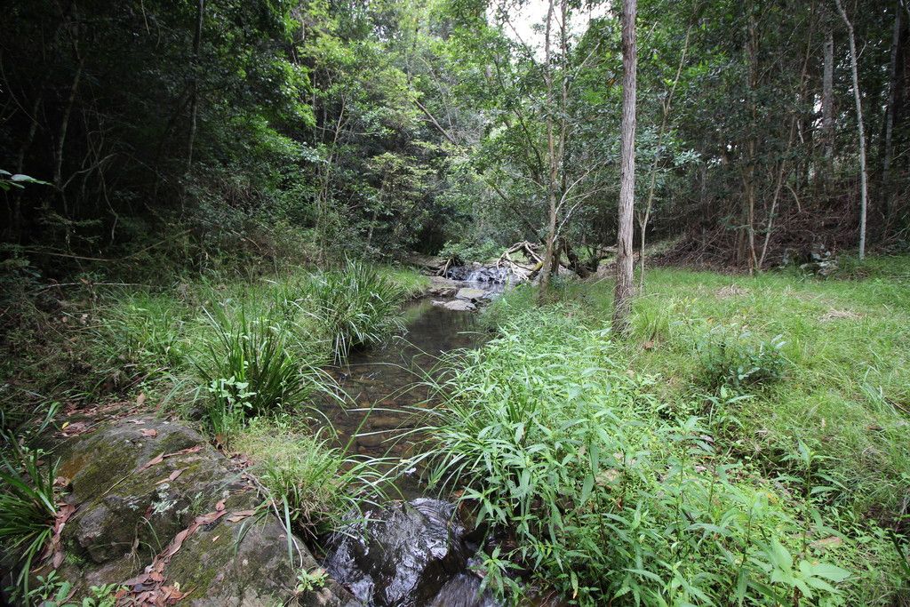 2595 Pappinbarra Rd, PAPPINBARRA NSW 2446