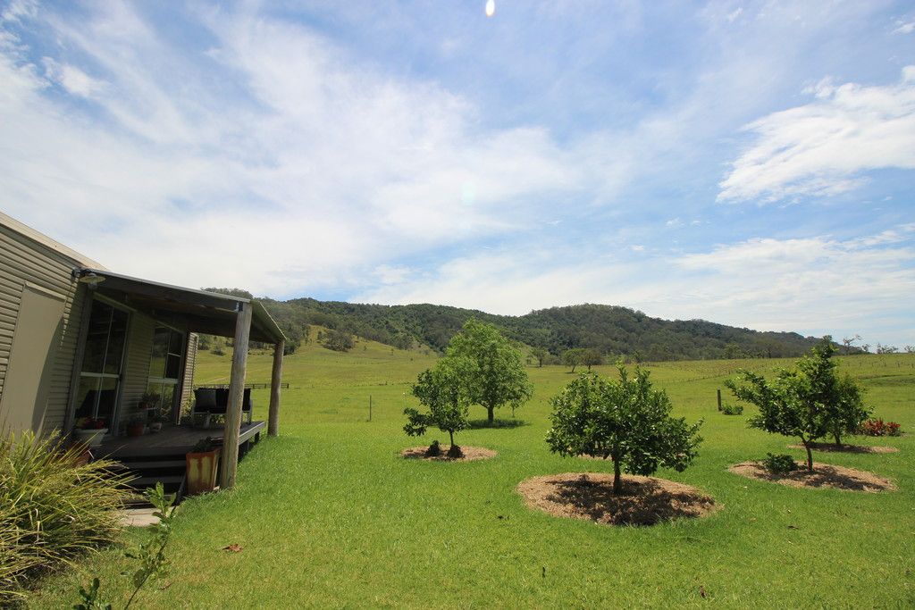 , ELLENBOROUGH NSW 2446
