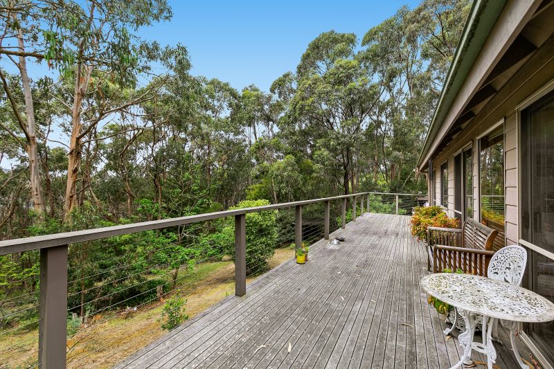 1855 Deans Marsh-Lorne Road, Lorne, VIC, Lorne - Thumbnail 3