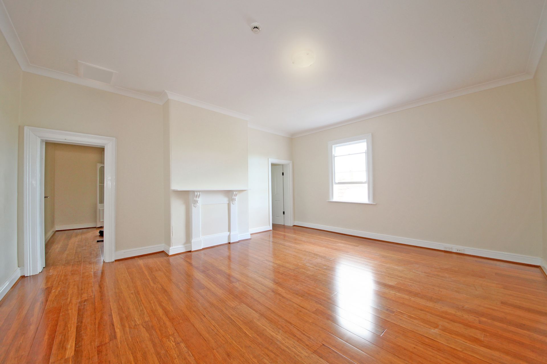 1/28 Elizabeth Street Ashfield NSW 2131 Unit for Rent 5682696