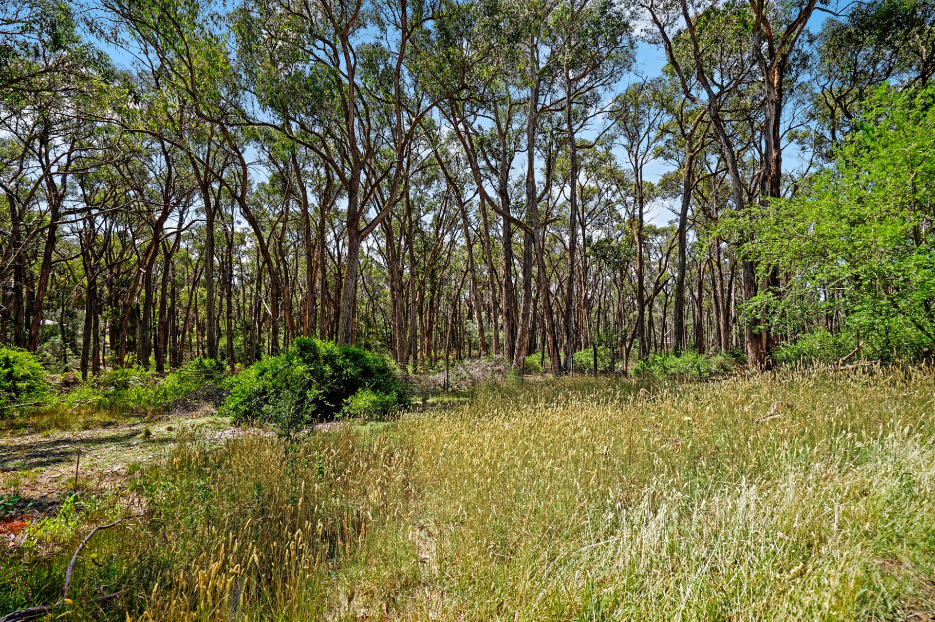 130 Blackberry Lane, Haddon Ballarat Real Estate Pty Ltd