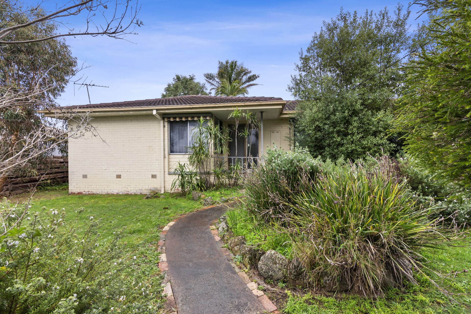 53 Robertson Drive, Mornington OBrien Real Estate