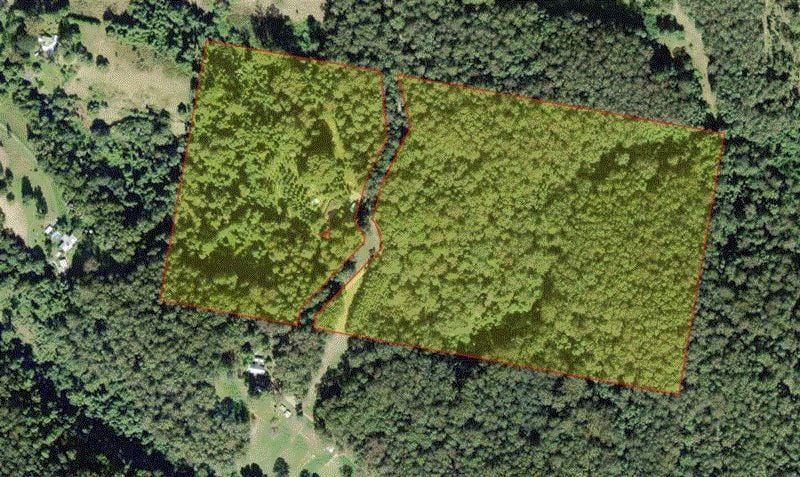 90 The Ridge Way, Black Creek Via, LORNE NSW 2439