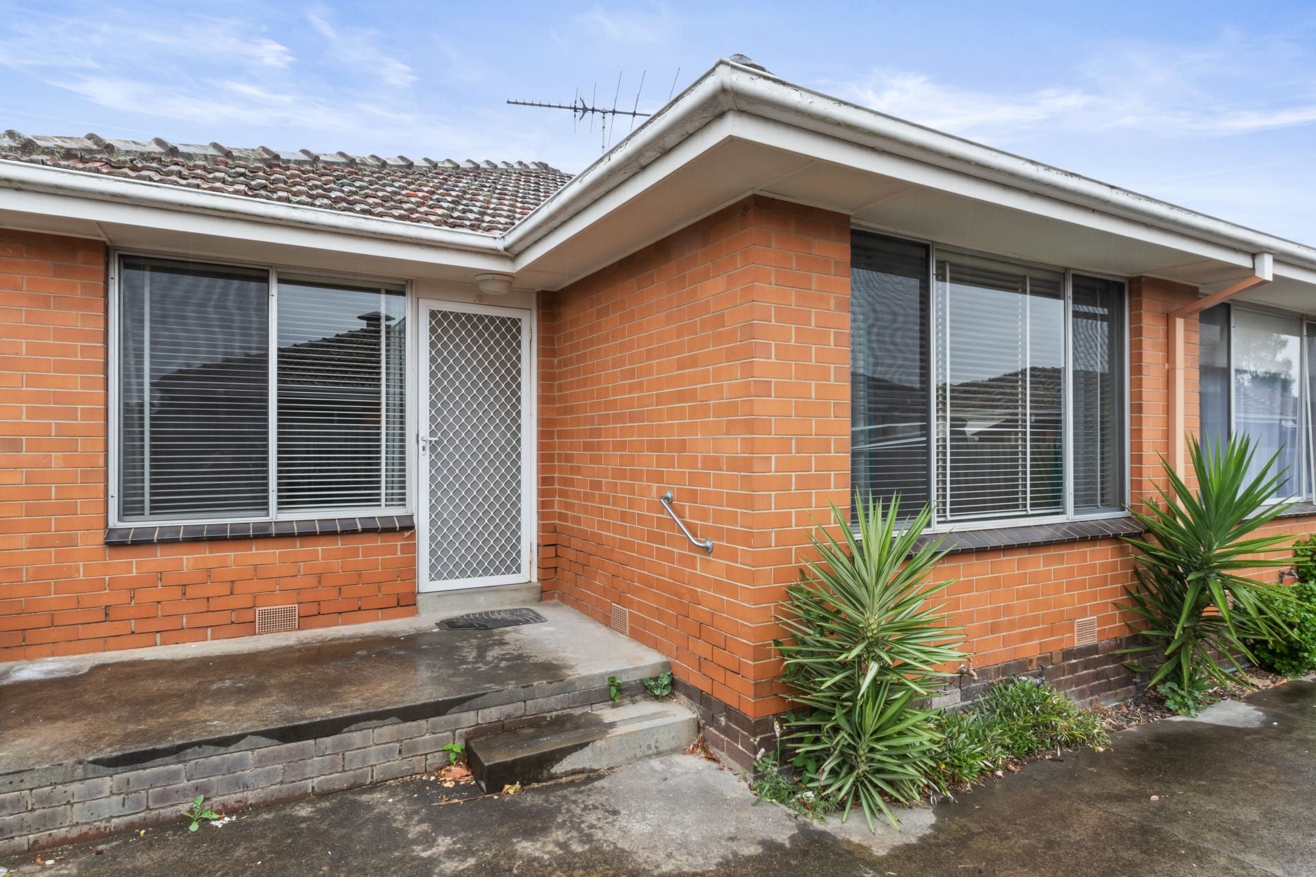 RENOVATED DELIGHT