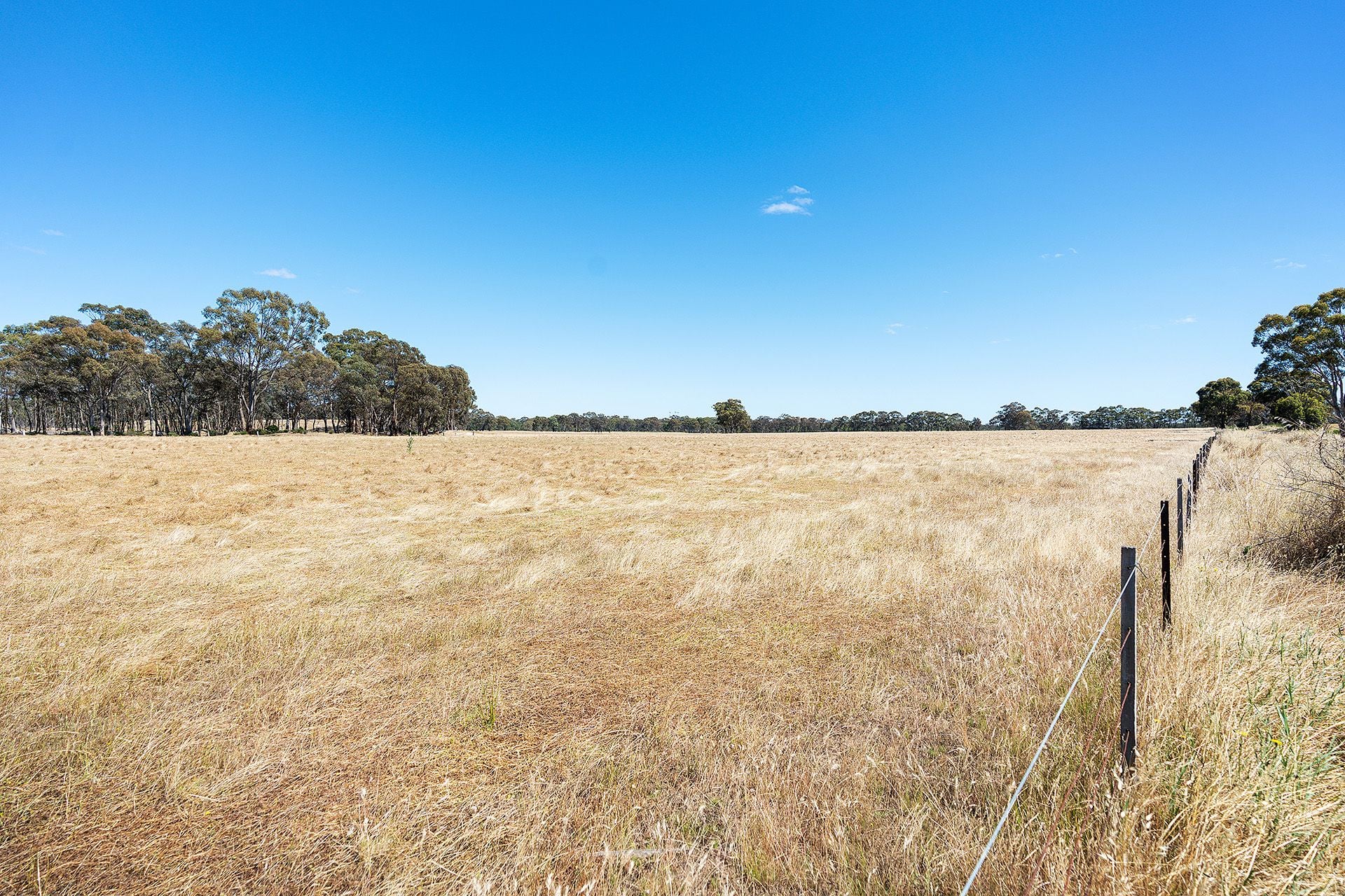 20 Ross Drive, Castlemaine - Thumbnail 5