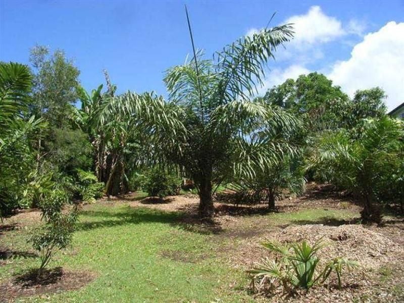 26 Netherton Street NAMBOUR QLD, Nambour - Thumbnail 6