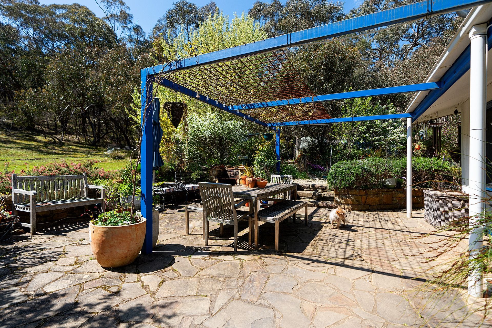 409 White Gum Track, Fryerstown - Thumbnail 6