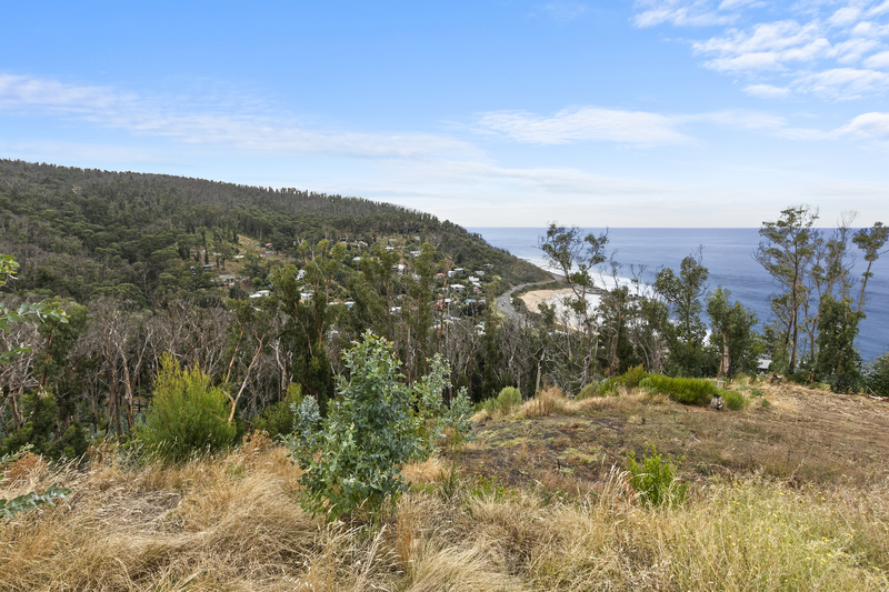 8 Dunoon Road, Wye River, VIC, Wye River - Thumbnail 3