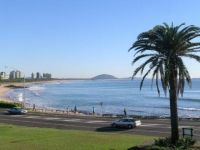 28 Mari Street ALEXANDRA HEADLAND QLD, Alexandra Headland - Thumbnail 6