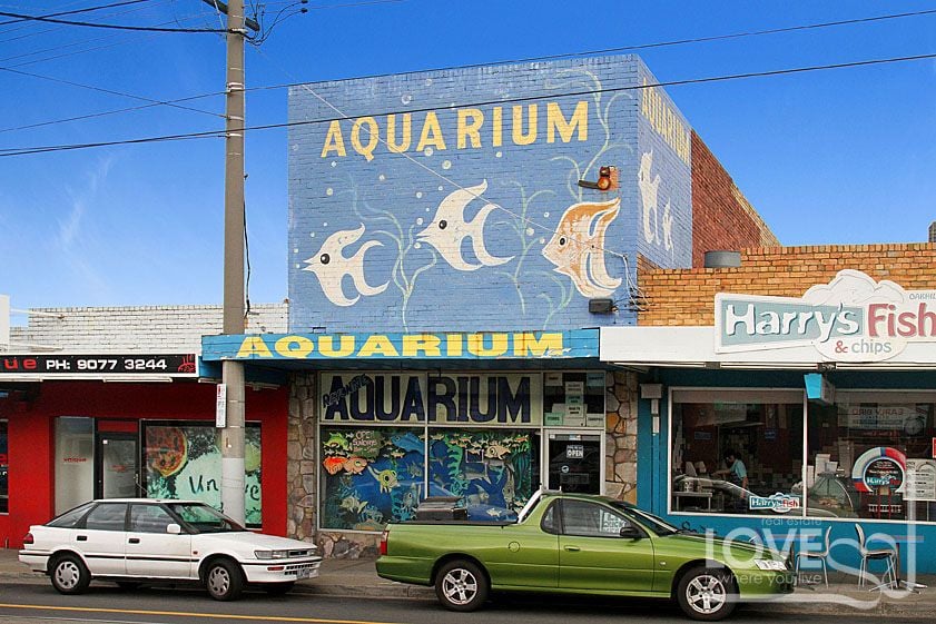 FISHING FOR A GOOD PROPERTY?